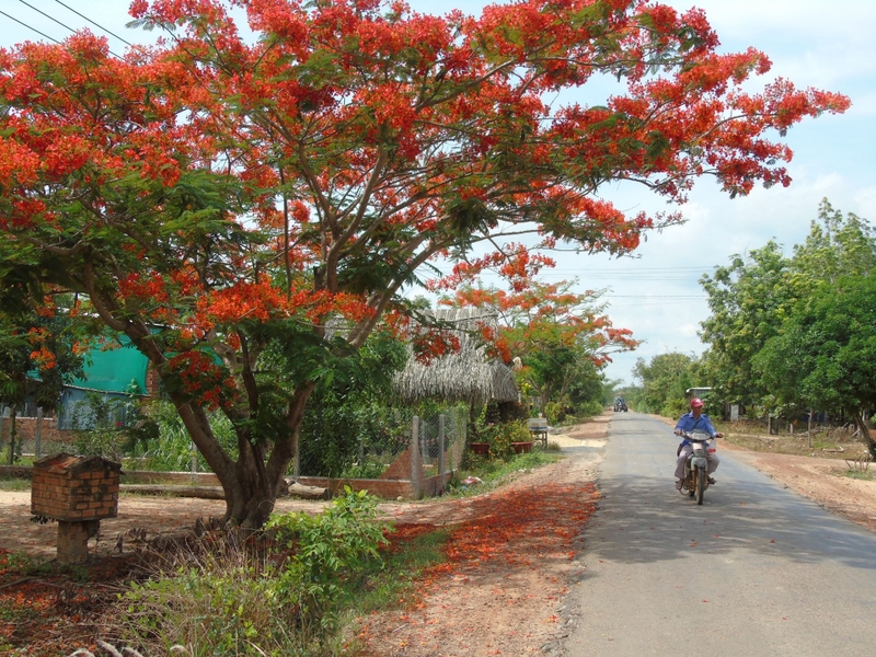 Xã Hòa Hội của Tây Ninh sau sáp nhập 1