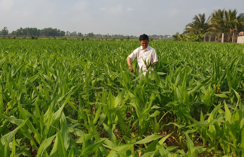 Xã Hòa Hội của Tây Ninh sau sáp nhập 3