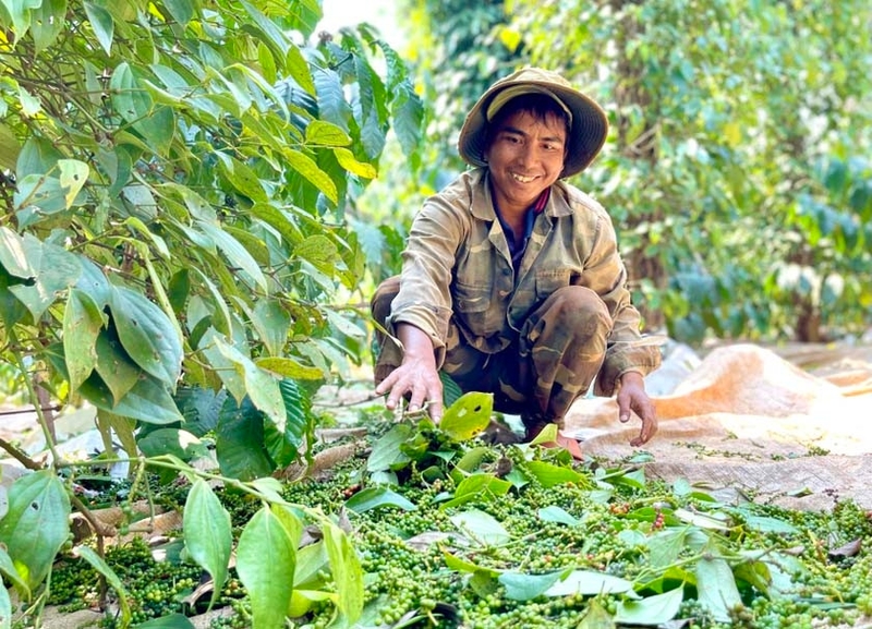 Xã Hòa Phú của Đắk Lắk sau sáp nhập 3