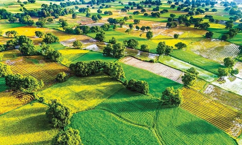 Tiềm năng phát triển và thách thức