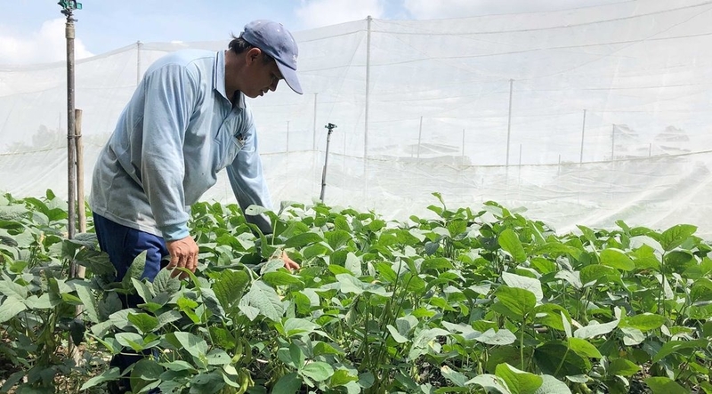 Xã Lạc Quới của An Giang sau sáp nhập thuộc xã nào 3