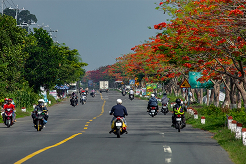 Xã Lấp Vò của Đồng Tháp 2