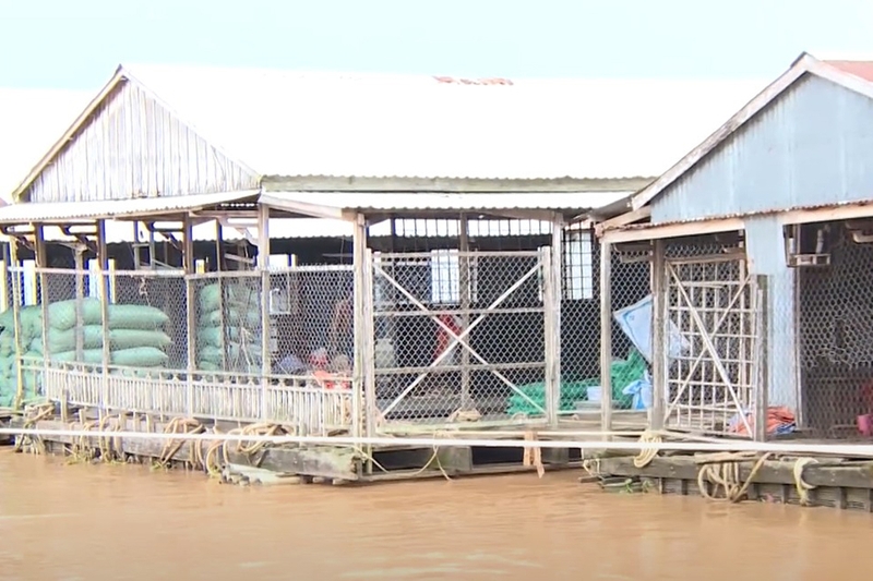 Xã Long Phú Thuận của Đồng Tháp 8