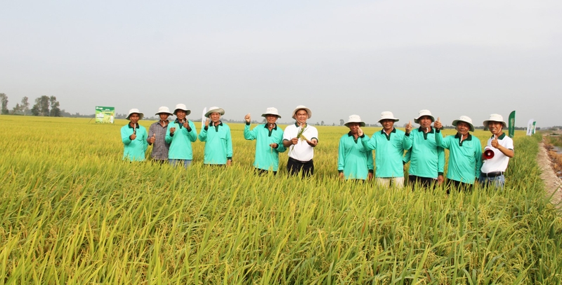 Xã Mỹ Quí của Đồng Tháp 1