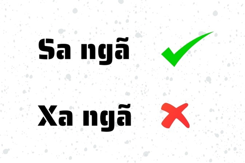 xa-nga-hay-sa-nga-2.jpg