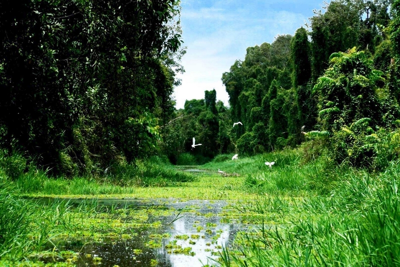 xã Phú Cường của Đồng Tháp ảnh 5