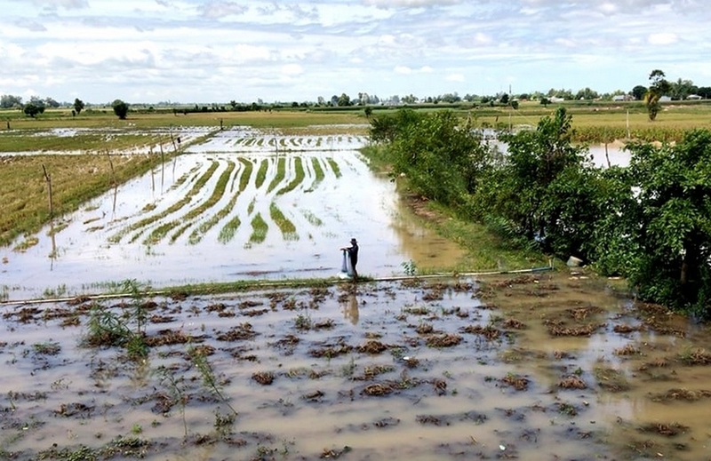 Phú Hữu của An Giang ảnh 3