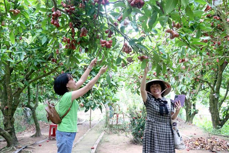 Xã Phú Quới của Vĩnh Long 1