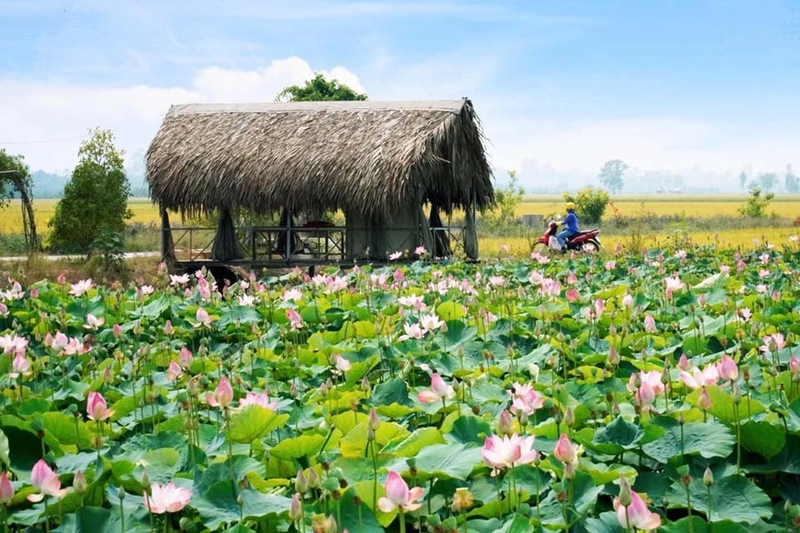 Xã, phường mới của Đồng Tháp 5