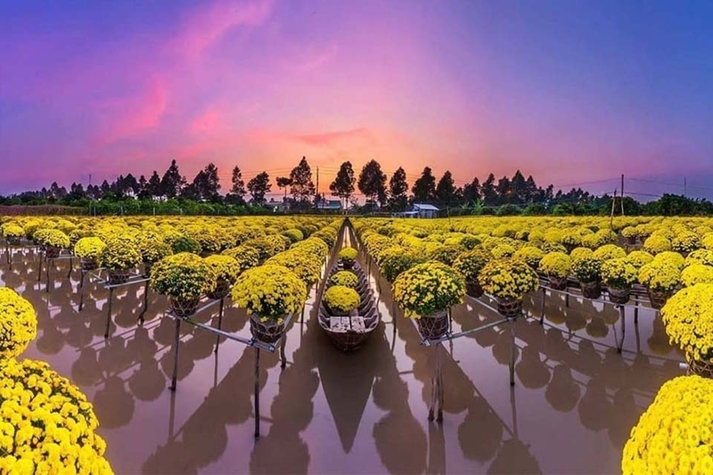 Xã, phường mới của Đồng Tháp 6