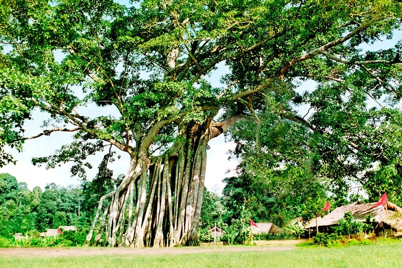 Xã, phường mới của Tuyên Quang 5
