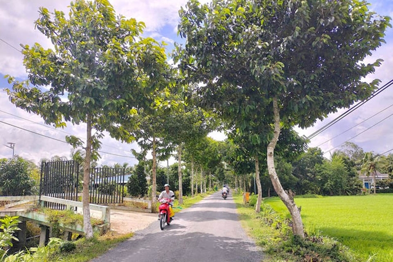 Xã Tam Bình của Vĩnh Long 2