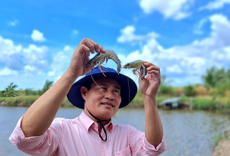 Xã Tân Bằng của Cà Mau 5