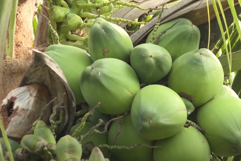 Xã Tân Hộ Cơ của Đồng Tháp 6