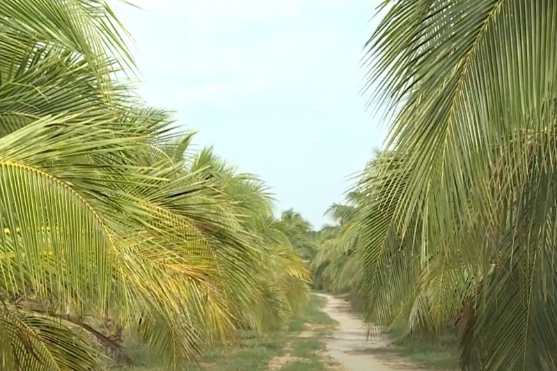 Xã Tân Hộ Cơ của Đồng Tháp 9