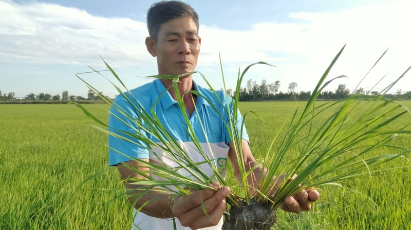 Xã Tân Hưng của Tây Ninh sau sáp nhập 2