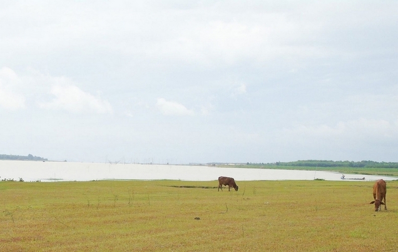 xã Tân Phú của Tây Ninh ảnh 2