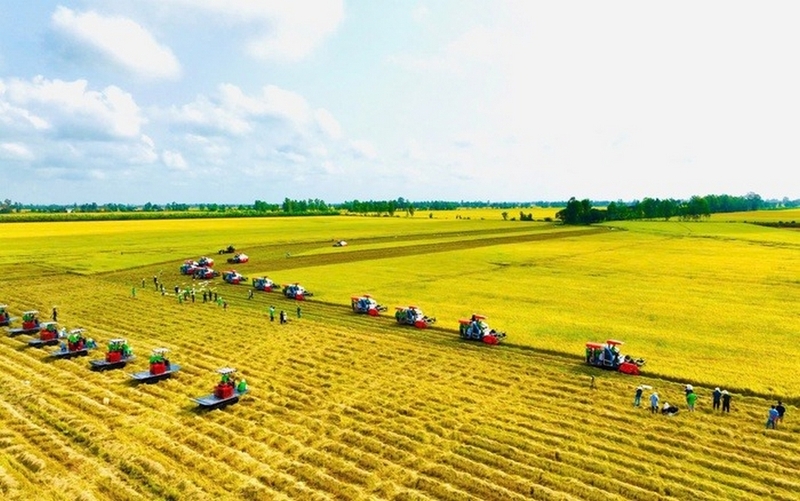 xã Tân Phú Trung của Đồng Tháp ảnh 2