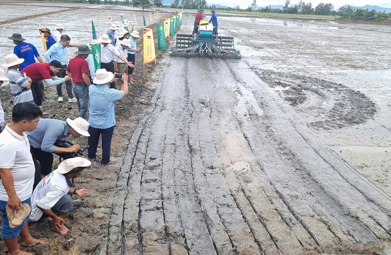 Xã Tây Phú của An Giang 5