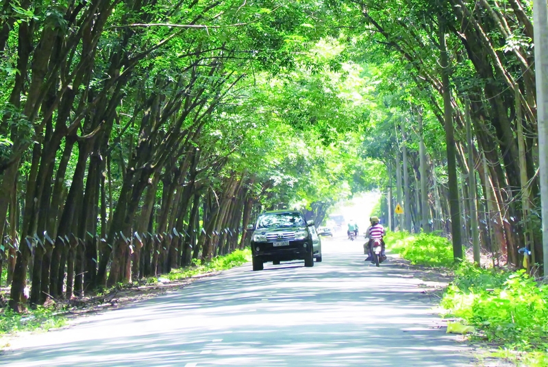 xã thạnh đức của tây ninh 2.jpg