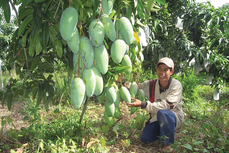 Xã Thoại Sơn của An Giang 8