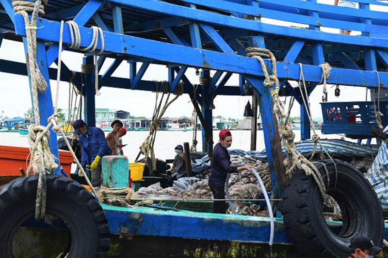 Xã Trần Phán của Cà Mau 3