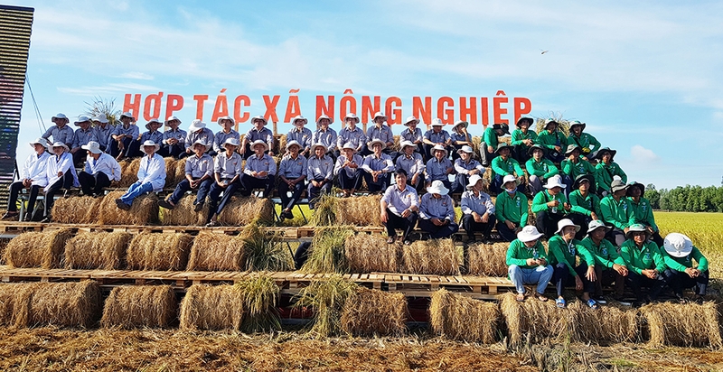 Xã Vọng Đông của An Giang 3