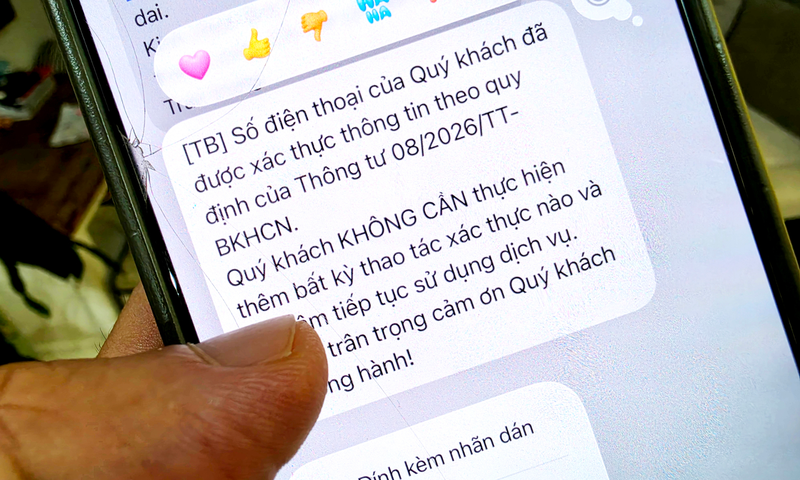 Không xác thực thông tin thuê bao có sao không?