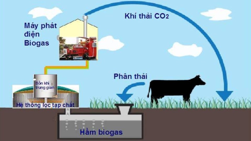 Ưu điểm của khí sinh học