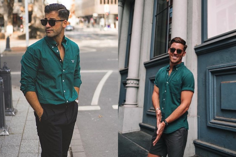 Xanh cổ vịt + đen