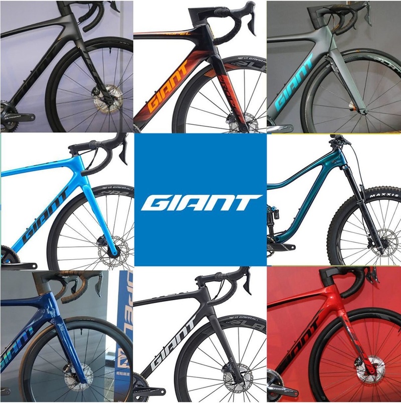 Xe đạp Giant - 08