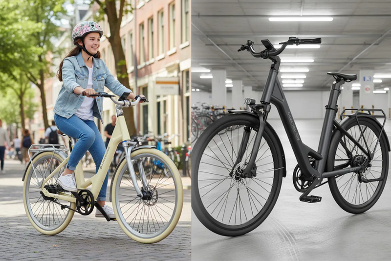Xe đạp trợ lực (4)