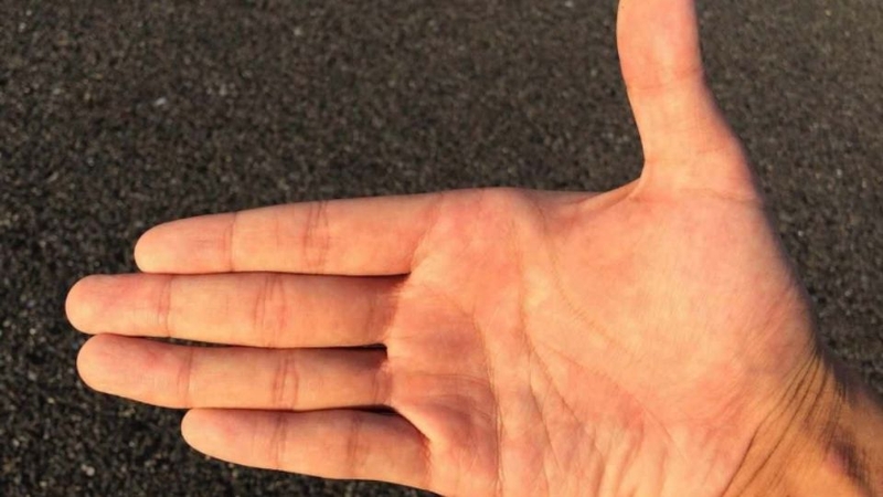 Xem chỉ tay nam 2