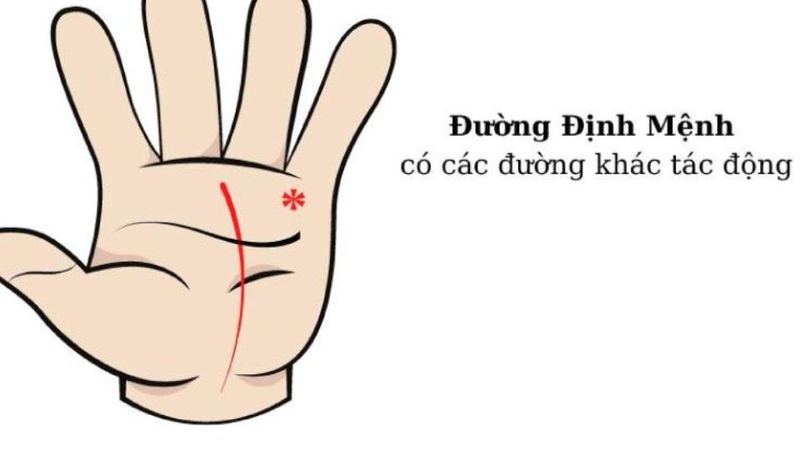 Xem chỉ tay nam 4