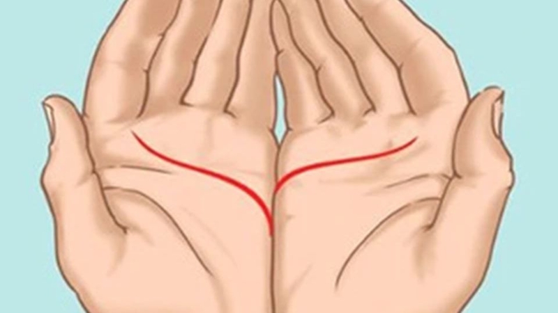Xem chỉ tay nam 5