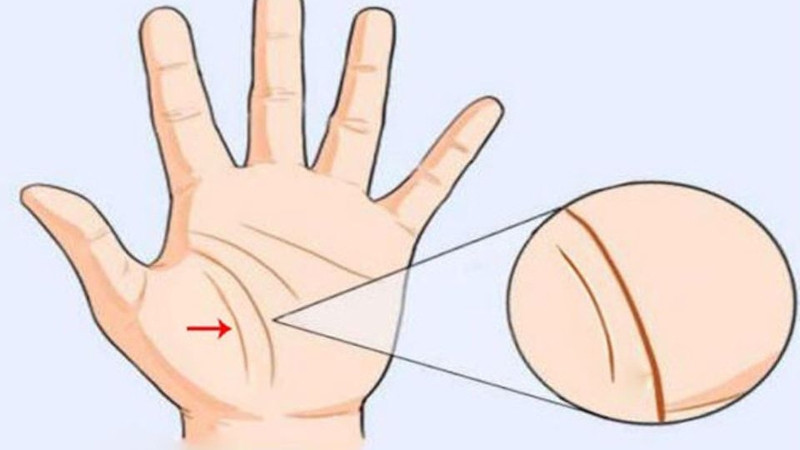 Xem chỉ tay nam 6