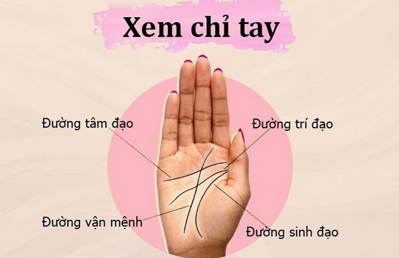 đường chỉ tay con gái