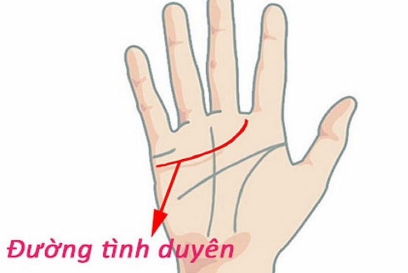 Cách xem chỉ tay nữ ảnh 3