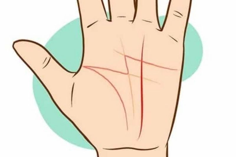 C&aacute;ch xem chỉ tay nữ: Giải m&atilde; những đường n&eacute;t h&eacute; lộ vận mệnh v&agrave; sự nghiệp