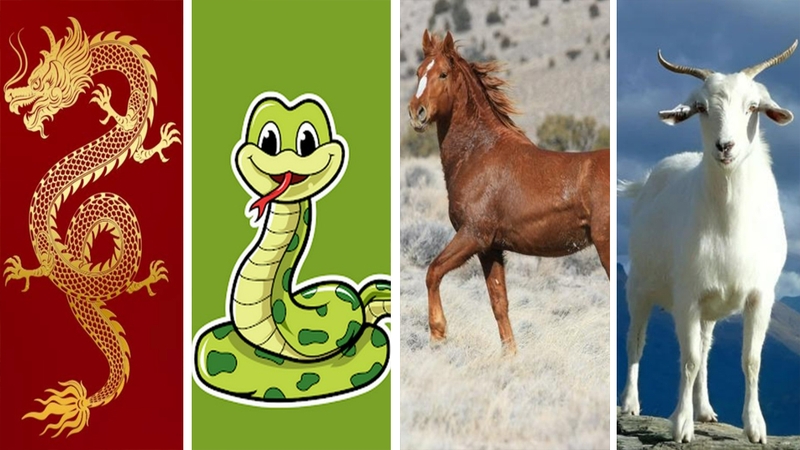 Người tuổi Thìn, Tỵ, Ngọ, Mùi