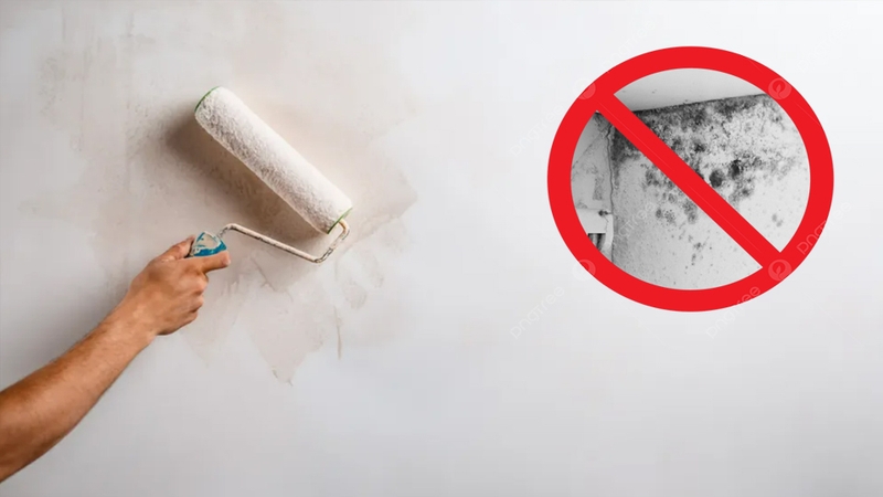 Xi măng chống thấm giúp ngăn ngừa ẩm mốc, vi khuẩn