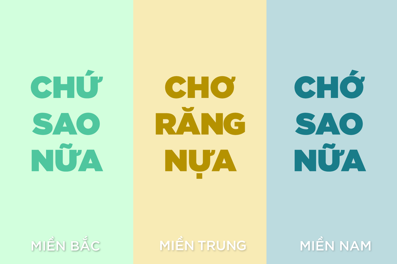 xịn sò hay xịn xò 5.png