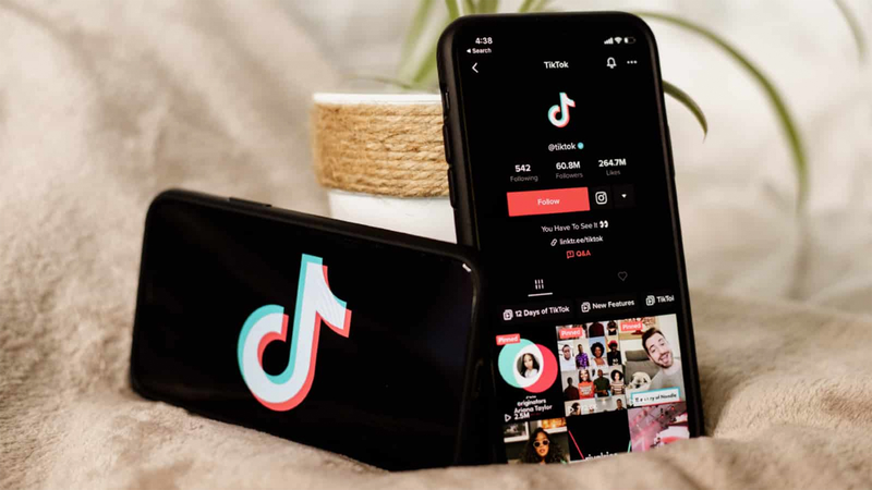 Ý nghĩa các huy hiệu TikTok 2