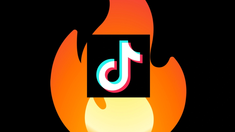 Ý nghĩa các huy hiệu TikTok 5