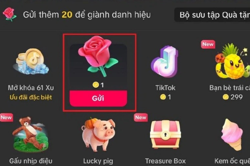 Ý nghĩa các huy hiệu TikTok 4