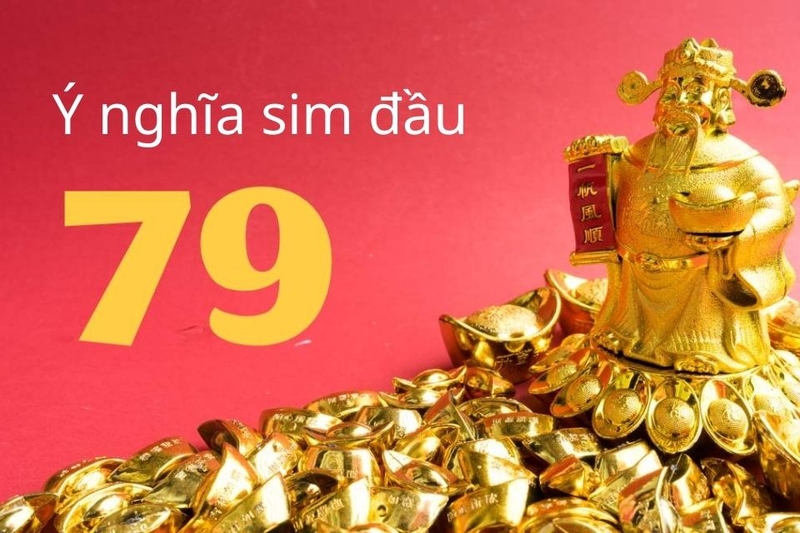ý nghĩa sim đầu 079