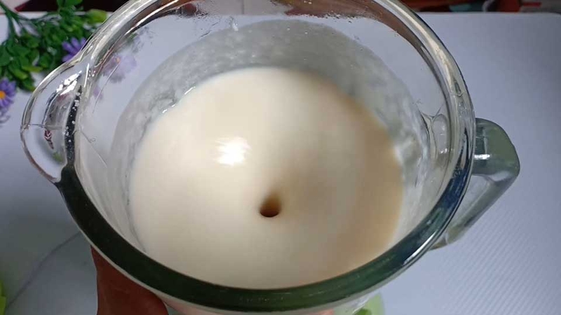 Yaourt mãng cầu - 05