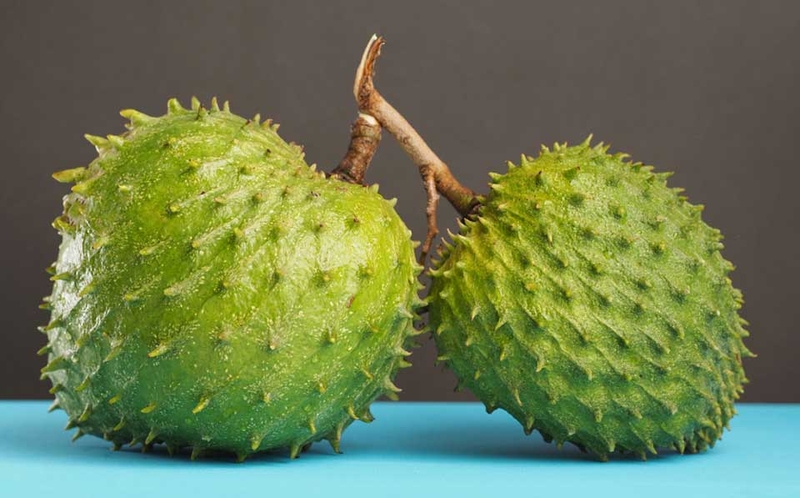 Yaourt mãng cầu - 01