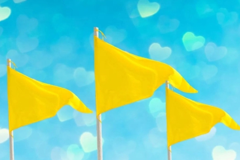 Yellow flag là gì 6