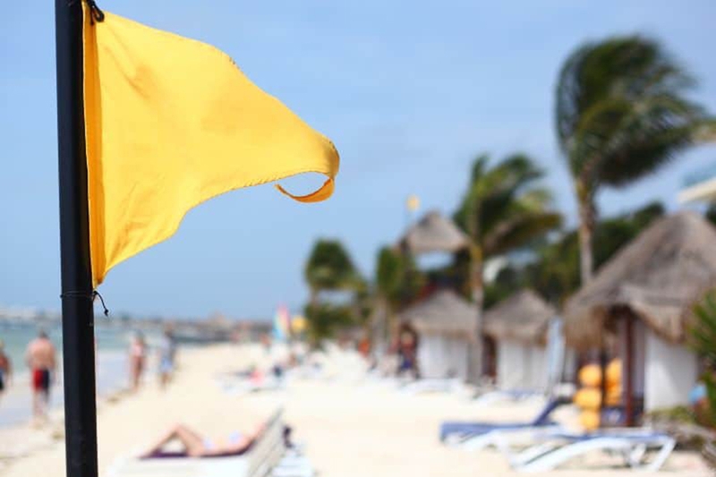 Yellow flag là gì 1